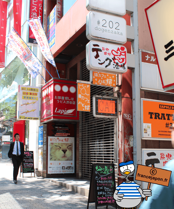 bar cafe char shibuya bar cafe char shibuya