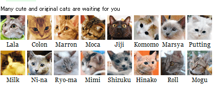 liste chat liste chat