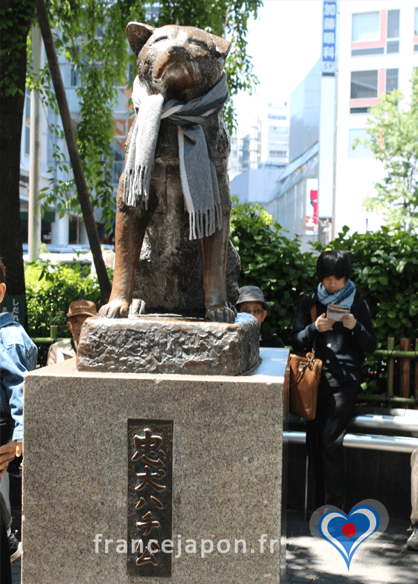 tokyo statue chien achiko histoire race