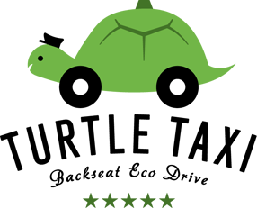 tortue taxi